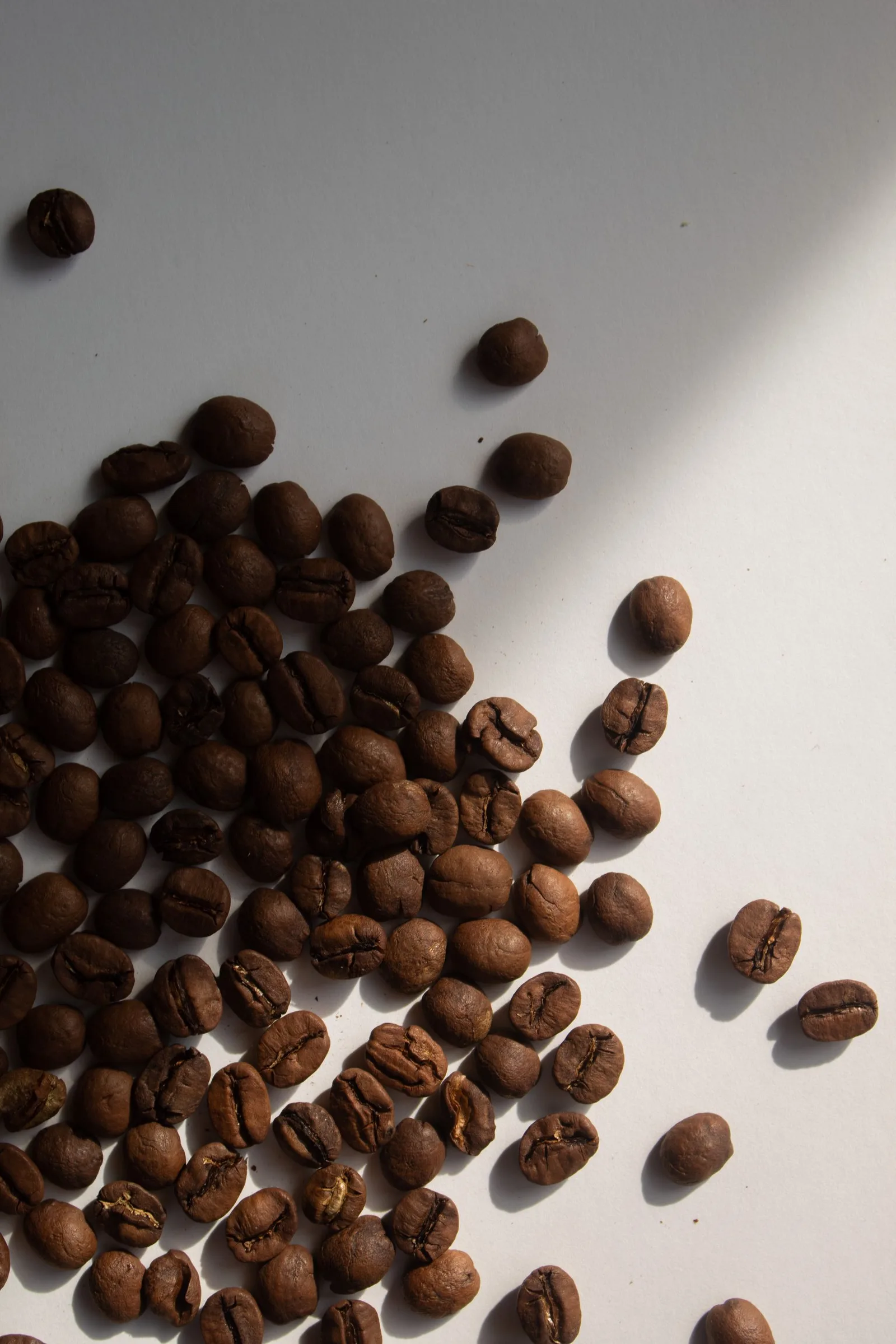 decaf swiss water